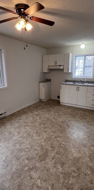 Grand 4 1/2 À Louer - Photo 1
