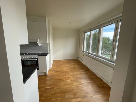 Fjärilstigen 29, Blombacka - Photo 1
