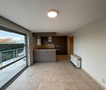 SERSKAMP - Ruim, recent appartement zicht op groen. - Photo 5