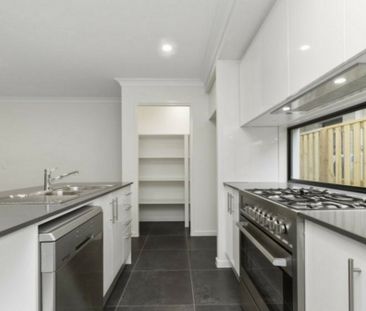 Gorgeous, spacious and centrally located! - Photo 2