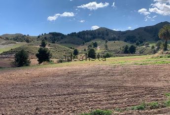Alquiler de casa o chalet independiente en La Hoya-Almendricos-Purias