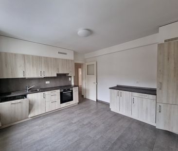 Spacieux appartement de 5,5 pièces avec part au grand jardin commun - Photo 3
