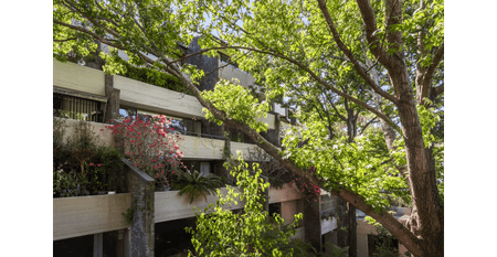Stylish Paddington Sanctuary with Leafy Outlook - Photo 2