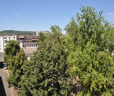 Appartement en location à Clermont-Ferrand Quartier Jaude/Banque De... - Photo 3