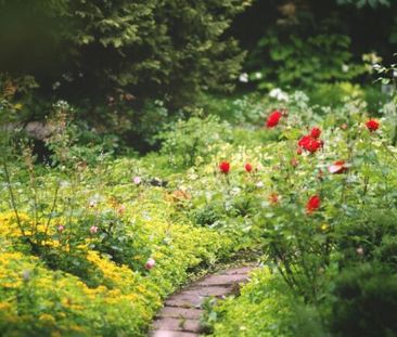 Spacieux 5 pièces avec jardin - Rive Gauche - Foto 3