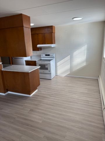 1 BDRM/1 BATH - 2315 7TH ST E - Available NOV 1 - Photo 5