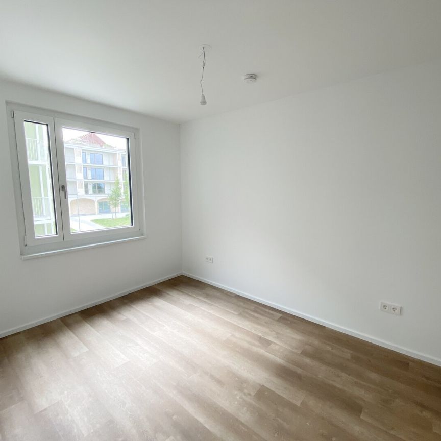 Modern Wohnen im Grünen: Ihr neues Zuhause im Herzen des Tullnerfelds - Foto 1