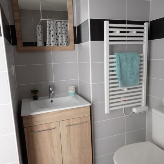 Location Appartement 1 pièce 21m² ISLE 87170 - Photo 1