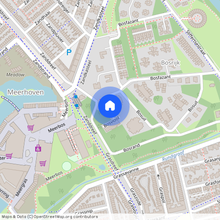 Bosviool, Eindhoven