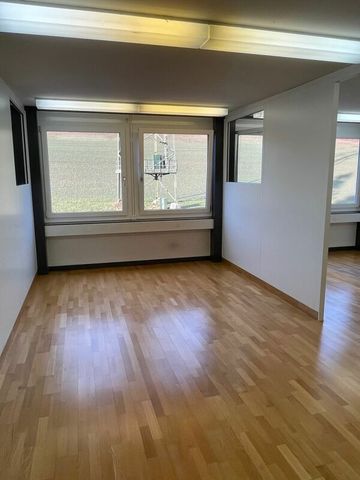 Lohwisstrasse 32, 8123 Ebmatingen - Foto 4