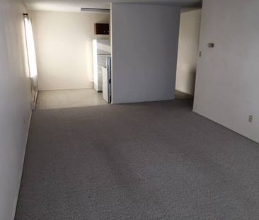 LOVELY, UPGRADED 1 BEDROOMS 4 RENT! - Photo 1