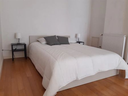 T2 MEUBLE LYON 8 - Photo 4