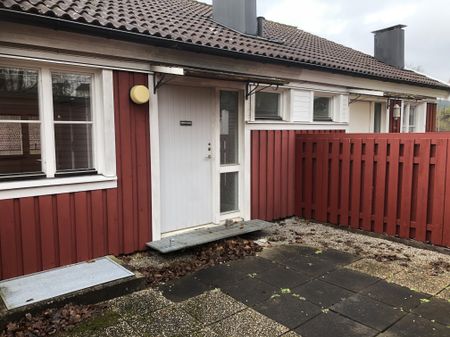 Pilörtsvägen, Fritsla - Foto 5