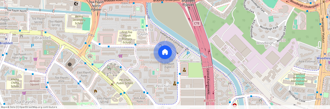 228 Lorong 8 Toa Payoh (310228), Singapore