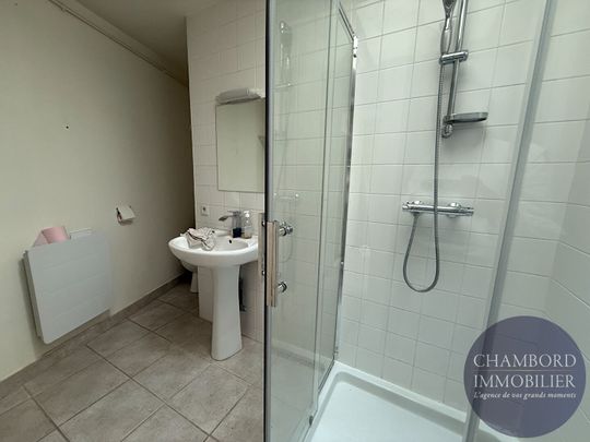 Appartement Blois 3 pièce(s) 70 m2 - Photo 1