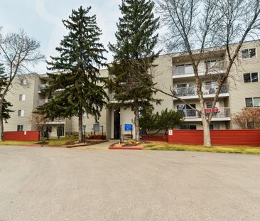 Redwood Court - Photo 3