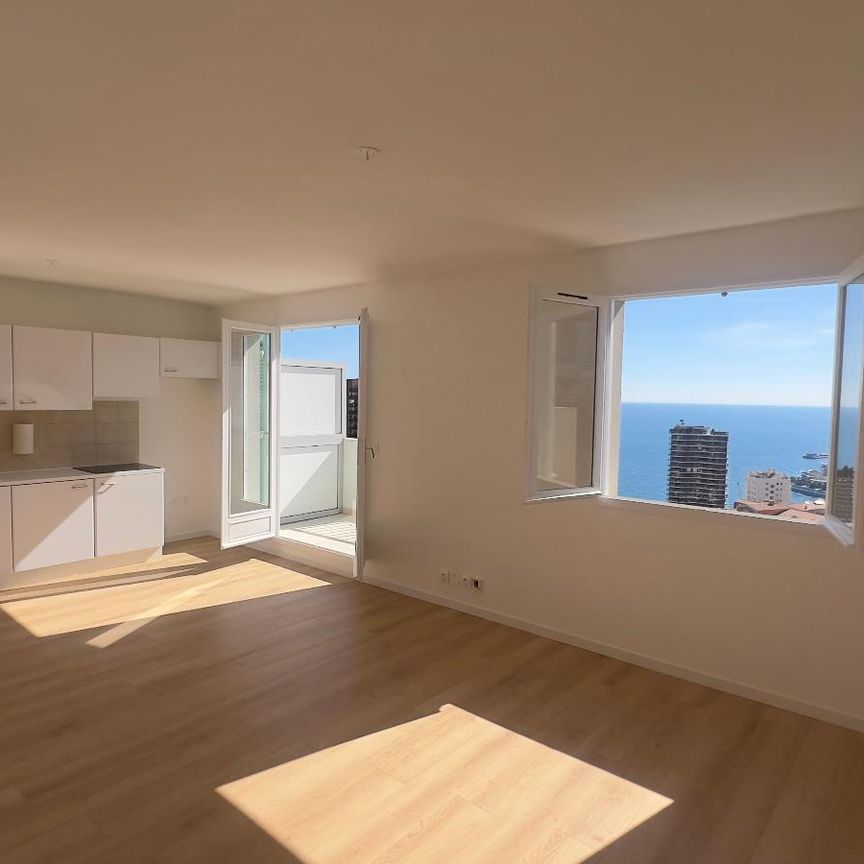 Location Appartement 2 pièces 42m² ROQUEBRUNE CAP MARTIN 06190 - Photo 1