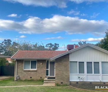 Renovated three bedroom home in the heart of Woden - Photo 6