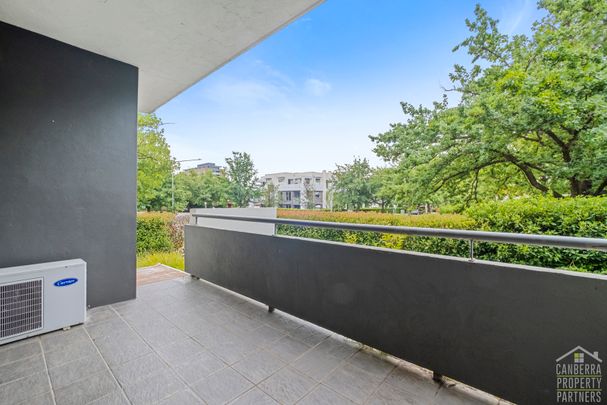 14/30 Ijong Street, Braddon ACT 2612 - Apartment For Rent | Domain - Photo 1