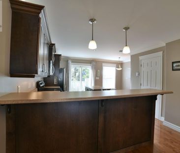 11 Brine Street, St. John's, Newfoundland & Labrador - Photo 3