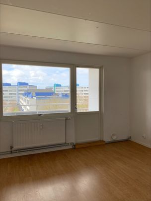 Thomsons väg 34 B, Kryddgården - Foto 1