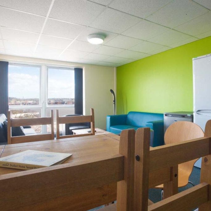 5 bedroom flat share to rent - Photo 1