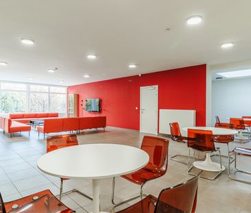 Gerenoveerde studentenkamers & studio’s - Photo 5