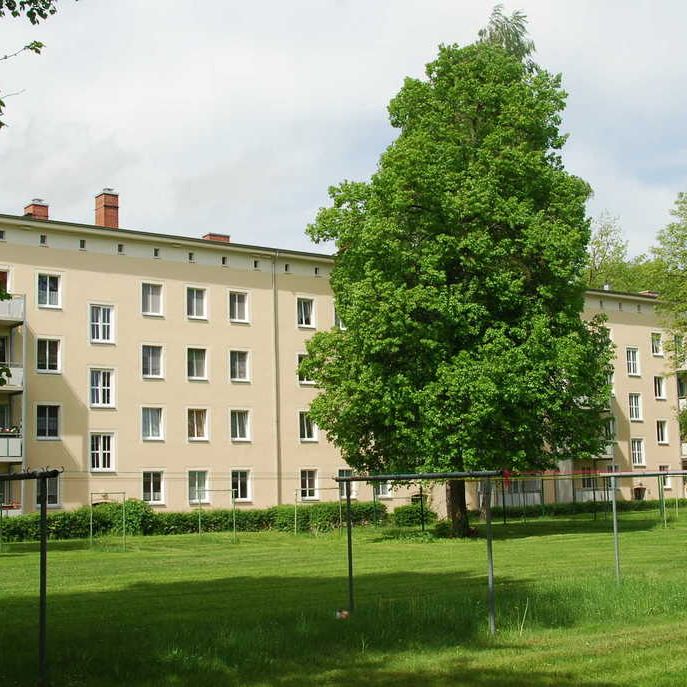 2-Raum-Wohnung mit Balkon in zentraler Lage - Photo 1