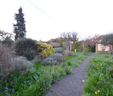 4 bedroom Detached house to rent - Photo 4