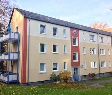 Frisch renovierte 2-Zi.-Whg. mit neuem Tageslichtbad und Balkon - Photo 4