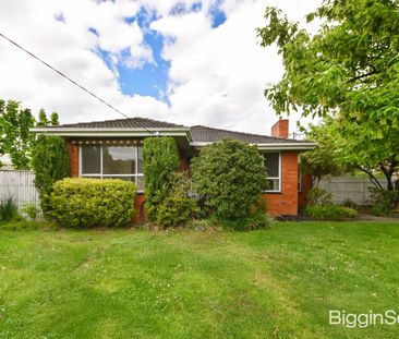 Freshly Updated Home in a Convenient Family Location - Photo 6