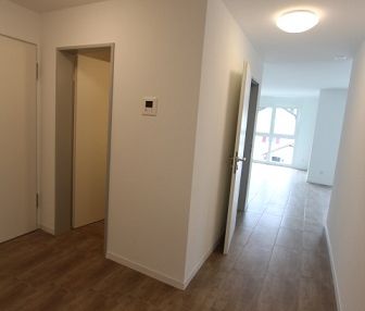 4.5-Zimmerwohnung mit Waschturm und Balkon, Kentuckystrasse 22 in 5734 Reinach - Foto 3