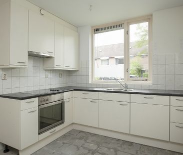 Hermesburg, 40, Nieuwegein - foto 5