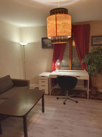 Folkungagatan, Linköping - Photo 5