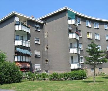 Demnächst frei! 3-Zimmer-Wohnung in Hamm Norden - Foto 1