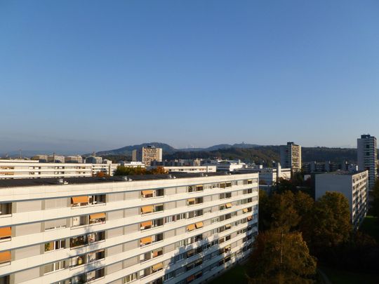 Tscharnergut - Grosszügige Wohnung im 11. OG - Photo 1