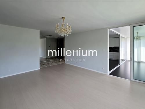 Grand appartement récent et spacieux à Thônex - Foto 1