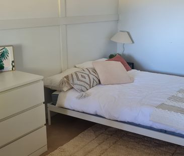 Hawthorn East - Photo 4