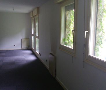 Location Appartement 2 pièces 48m² NANCY 54000 - Photo 1