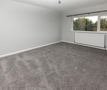 75 Hillside Road, Ballynahinch, BT24 8UL - Photo 5