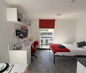 Budget Ensuite - Photo 4