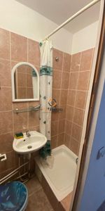 Garsoniera Renovata Buziasului - Fotografie 4