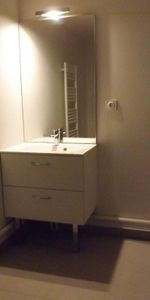 Location Appartement 1 pièce 26m² TOURS 37100 - Photo 3