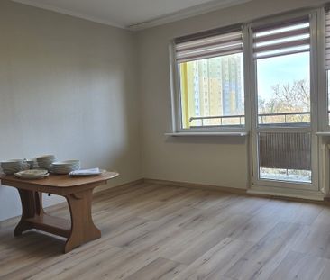 Mieszkanie | Wynajem - Zdjęcie 2