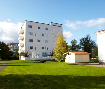 Lustigkullegatan, Jönköping - Foto 3