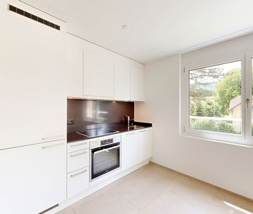 2.5 Zimmer, 46 m², 2. Stock - Photo 4