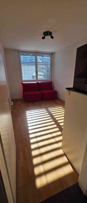 4.5 Zimmer, 135 m², 1. Stock - Photo 1