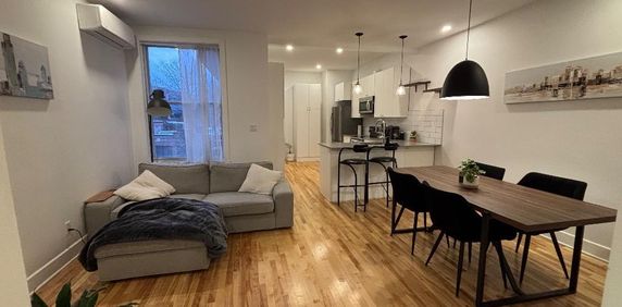 Magnifique 4 ½ entièrement rénové — 1000 pi² — Hochelaga-Maisonneuve — Disponible rapidement - Photo 2