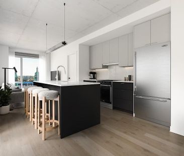 605 Rue Fullum, Ville-Marie, QC - Photo 6