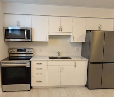 For Lease - 347 Canada Plum Street Unit# Lower, Waterloo, Ontario - Photo 2